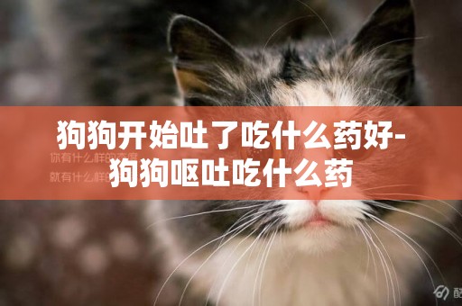 狗狗開始吐了吃什么藥好-狗狗嘔吐吃什么藥