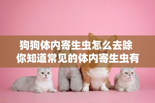 狗狗體內寄生蟲怎么去除 你知道常見的體內寄生蟲有哪些嗎