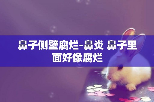鼻子側壁腐爛-鼻炎 鼻子里面好像腐爛