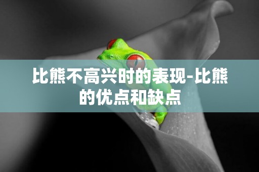 比熊不高興時的表現-比熊的優點和缺點