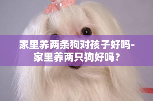 家里養兩條狗對孩子好嗎-家里養兩只狗好嗎？