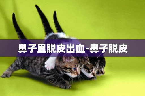 鼻子里脫皮出血-鼻子脫皮