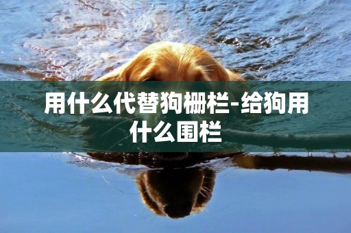 用什么代替狗柵欄-給狗用什么圍欄
