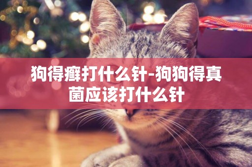 狗得癬打什么針-狗狗得真菌應該打什么針