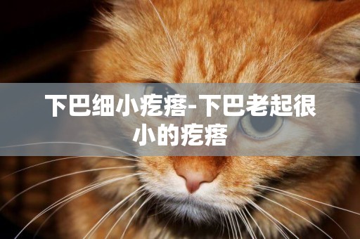 下巴細小疙瘩-下巴老起很小的疙瘩