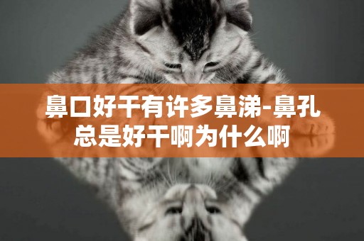 鼻口好干有許多鼻涕-鼻孔總是好干啊為什么啊