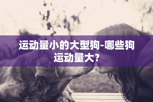 運動量小的大型狗-哪些狗運動量大？