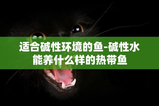 適合堿性環境的魚-堿性水能養什么樣的熱帶魚