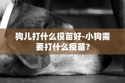 狗兒打什么役苗好-小狗需要打什么疫苗？