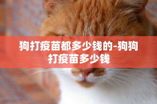 狗打疫苗都多少錢的-狗狗打疫苗多少錢