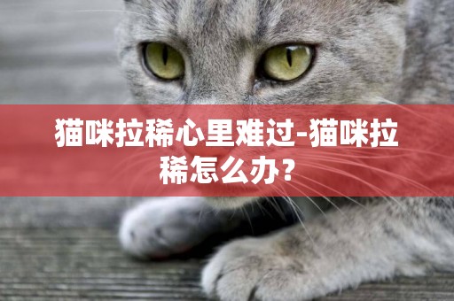 貓咪拉稀心里難過-貓咪拉稀怎么辦？