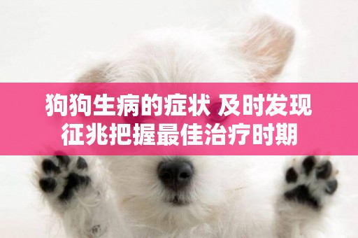 狗狗生病的癥狀 及時發現征兆把握最佳治療時期