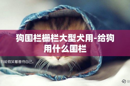 狗圍欄柵欄大型犬用-給狗用什么圍欄