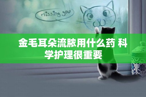金毛耳朵流膿用什么藥 科學護理很重要