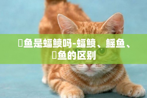 魟魚是蝠鲼嗎-蝠鲼、鰩魚、魟魚的區別