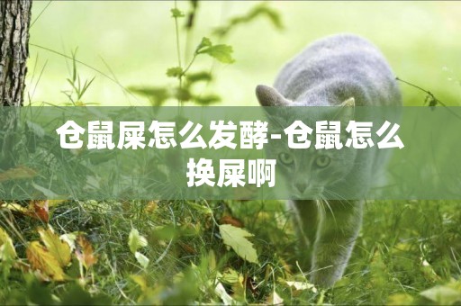 倉鼠屎怎么發酵-倉鼠怎么換屎啊