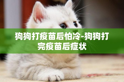 狗狗打疫苗后怕冷-狗狗打完疫苗后癥狀