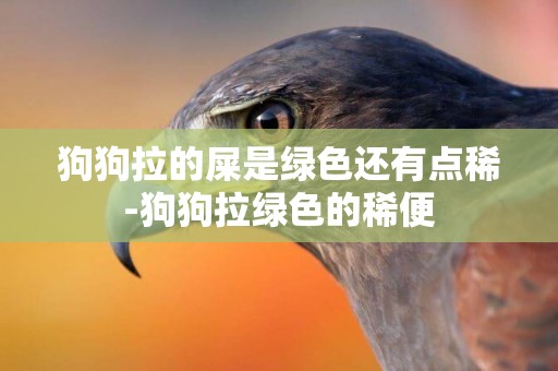 狗狗拉的屎是綠色還有點稀-狗狗拉綠色的稀便