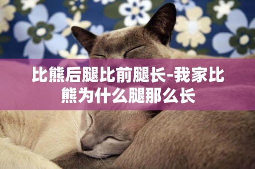 比熊后腿比前腿長-我家比熊為什么腿那么長