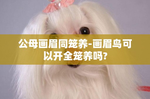 公母畫眉同籠養-畫眉鳥可以開全籠養嗎?