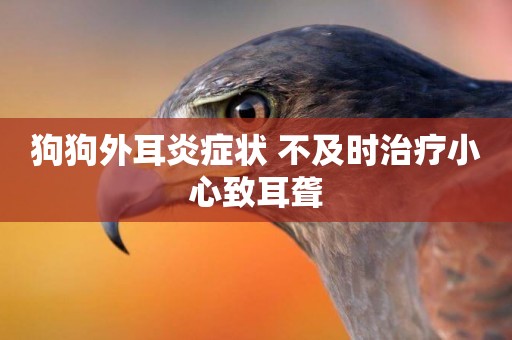 狗狗外耳炎癥狀 不及時治療小心致耳聾