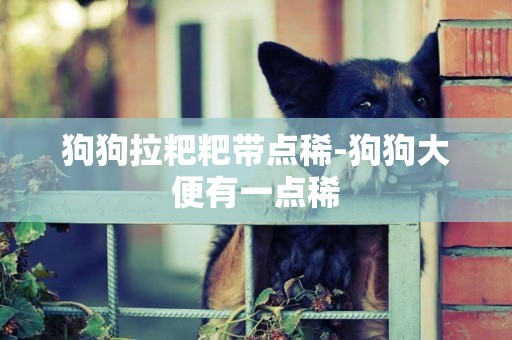 狗狗拉粑粑帶點稀-狗狗大便有一點稀