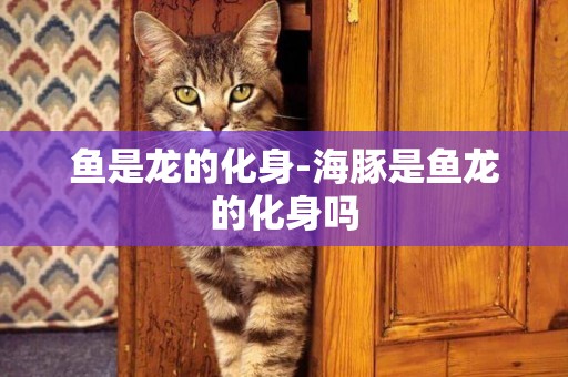 魚是龍的化身-海豚是魚龍的化身嗎