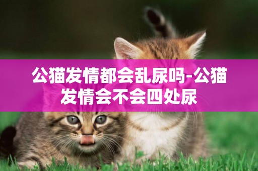公貓發情都會亂尿嗎-公貓發情會不會四處尿