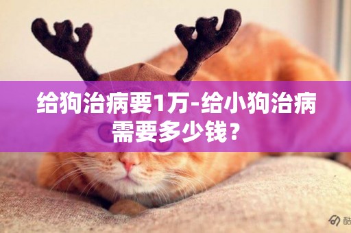 給狗治病要1萬-給小狗治病需要多少錢？