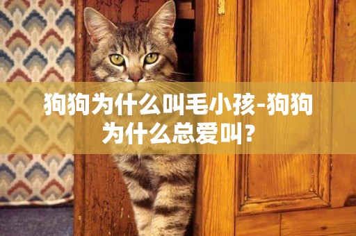 狗狗為什么叫毛小孩-狗狗為什么總愛叫？