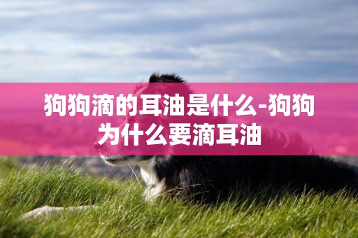 狗狗滴的耳油是什么-狗狗為什么要滴耳油