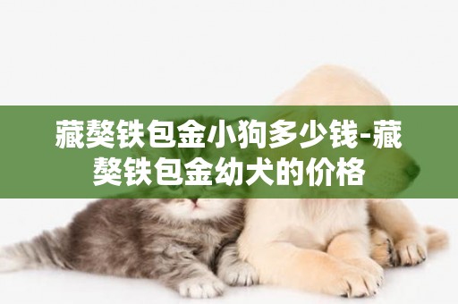 藏獒鐵包金小狗多少錢-藏獒鐵包金幼犬的價格