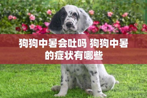 狗狗中暑會吐嗎 狗狗中暑的癥狀有哪些
