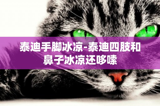 泰迪手腳冰涼-泰迪四肢和鼻子冰涼還哆嗦