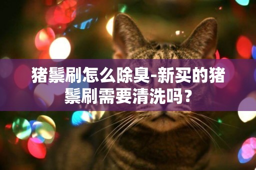 豬鬃刷怎么除臭-新買的豬鬃刷需要清洗嗎？