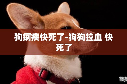 狗痢疾快死了-狗狗拉血 快死了