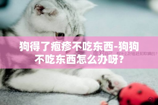 狗得了皰疹不吃東西-狗狗不吃東西怎么辦呀？