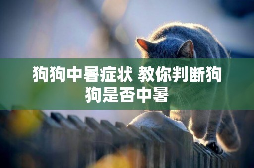狗狗中暑癥狀 教你判斷狗狗是否中暑