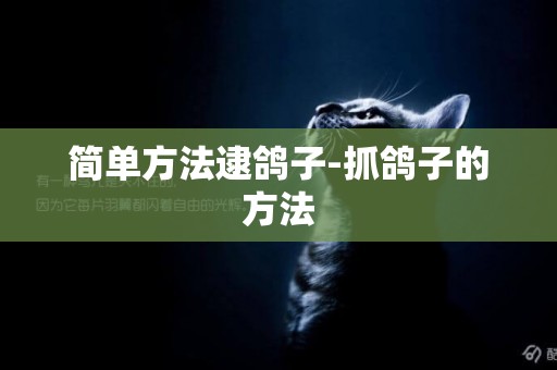簡單方法逮鴿子-抓鴿子的方法