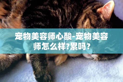 寵物美容師心酸-寵物美容師怎么樣?累嗎？