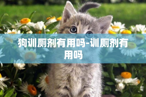 狗訓廁劑有用嗎-訓廁劑有用嗎
