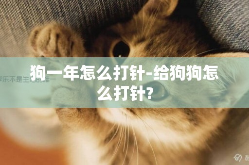 狗一年怎么打針-給狗狗怎么打針?