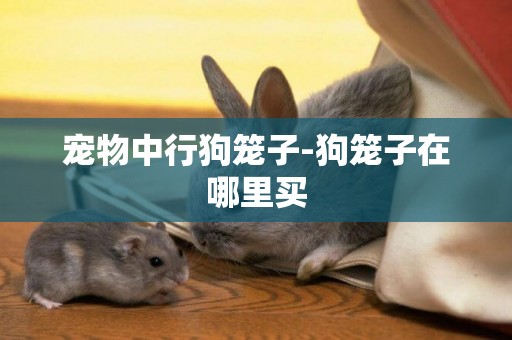 寵物中行狗籠子-狗籠子在哪里買