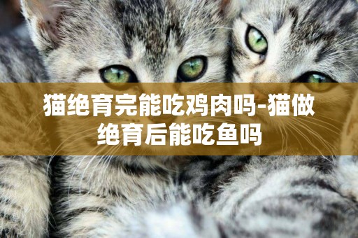 貓絕育完能吃雞肉嗎-貓做絕育后能吃魚嗎