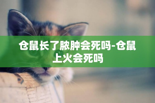 倉鼠長了膿腫會死嗎-倉鼠上火會死嗎