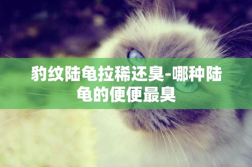 豹紋陸龜拉稀還臭-哪種陸龜的便便最臭