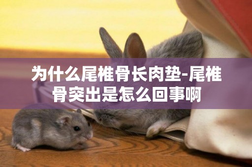 為什么尾椎骨長肉墊-尾椎骨突出是怎么回事啊