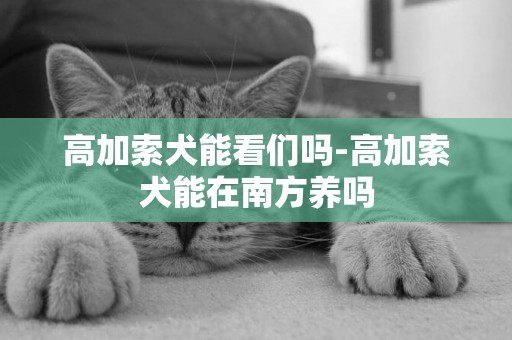 高加索犬能看們嗎-高加索犬能在南方養嗎