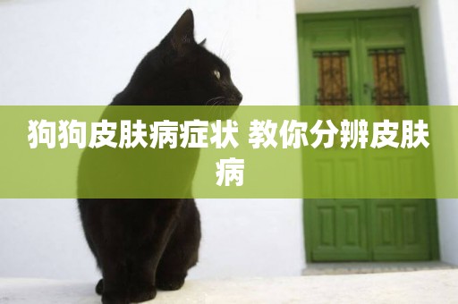狗狗皮膚病癥狀 教你分辨皮膚病