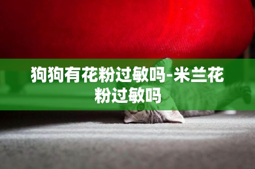 狗狗有花粉過敏嗎-米蘭花粉過敏嗎